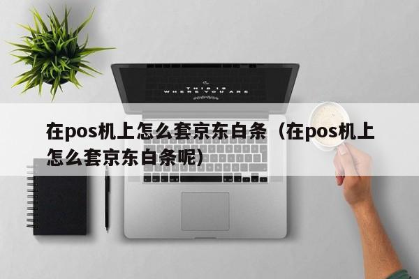 在pos机上怎么套京东白条（在pos机上怎么套京东白条呢）