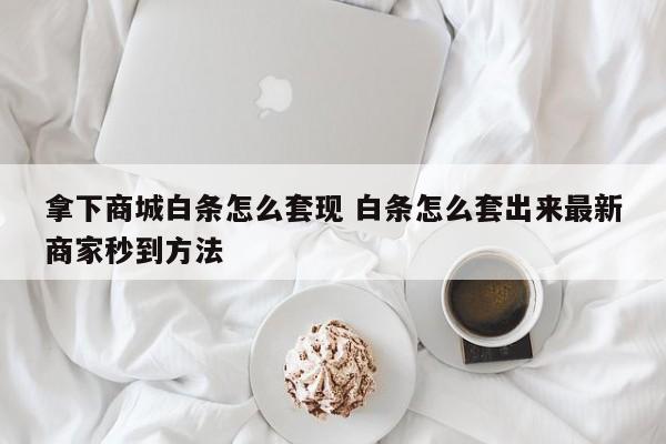 拿下商城白条怎么套现 白条怎么套出来最新商家秒到方法